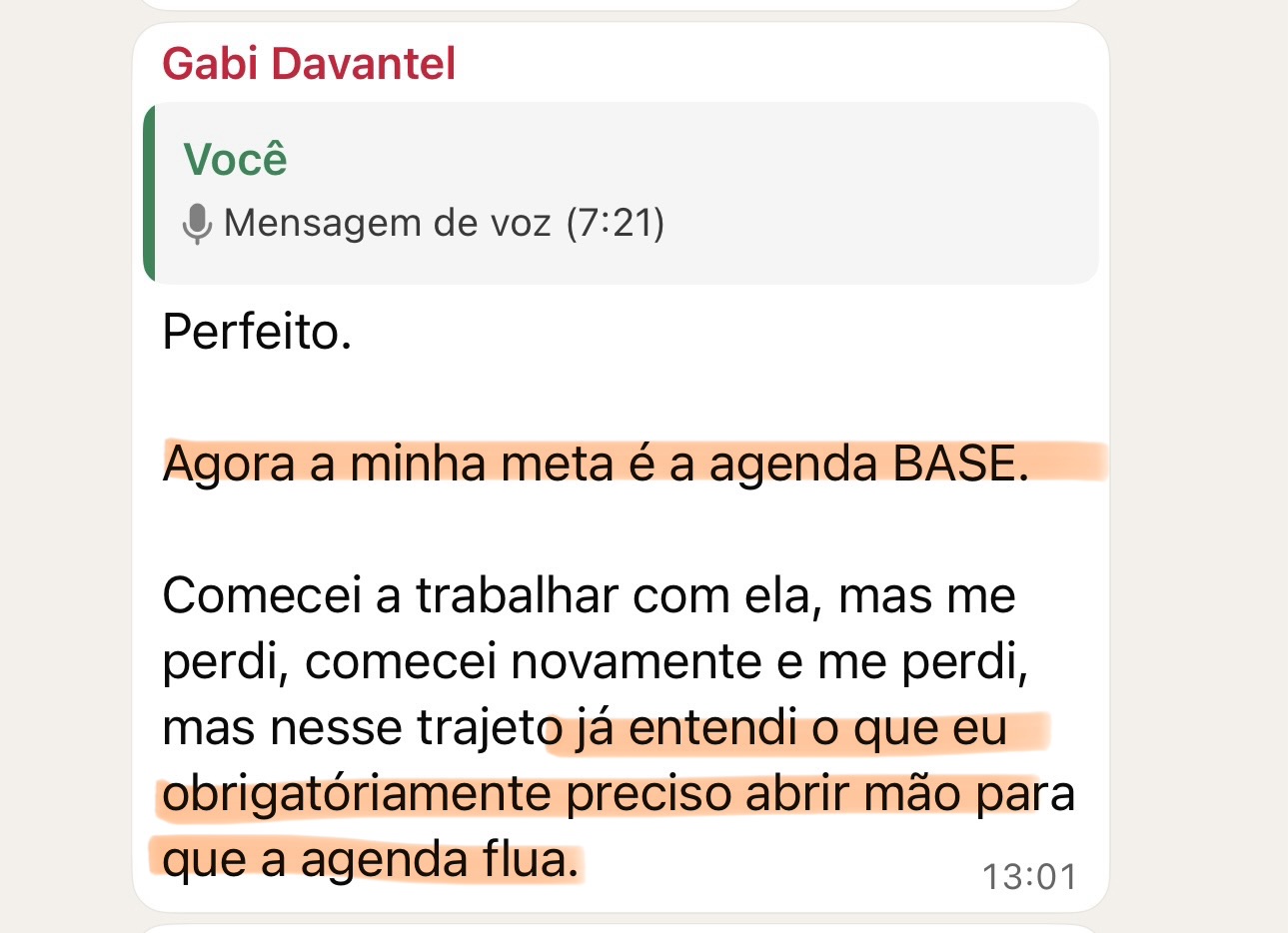 Mensagem enviada por Gabi Davantel sobre a experiência na mentoria MEP
